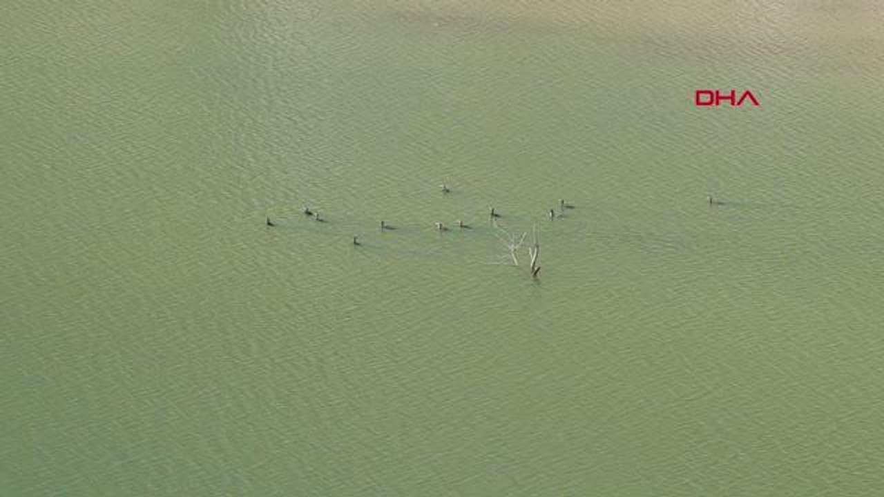Erzurum haberleri: OLTU ÇAYI'NDA KAYBOLAN BABAYI ARAMA ÇALIŞMALARI 120'NCİ GÜNÜNDE SONLANDIRILDI