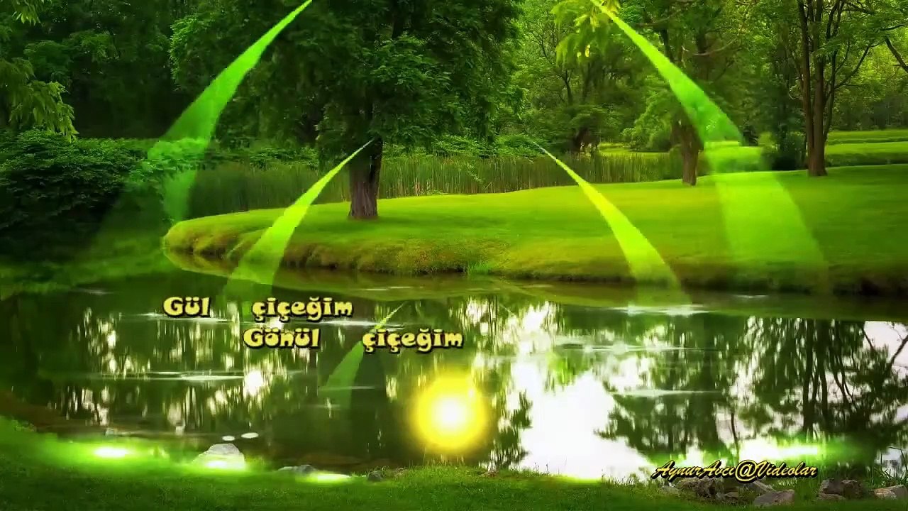 Gül Çiçeğim Gönül Çiçeğim*Seslendiren *Video *Aynur AVCI