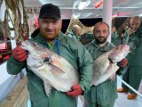 Rize haber! Rizeli balıkçıların denizdeki ilk günü bereketli geçti