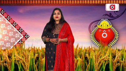 Nuakhai 2022 | Significance of Western Odisha's Famous Harvest Festival