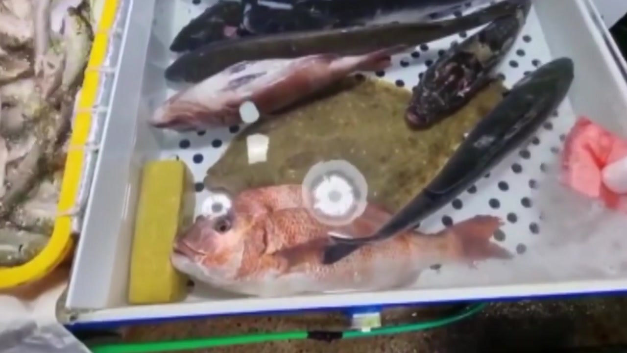 원산지 속인 부산지역 횟집·축산물 업체 19곳 적발 / YTN