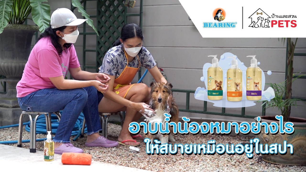บ้านและสวน Pets | เคล็ดลับและเทคนิคการอาบน้ำให้น้องหมามีความสุข
