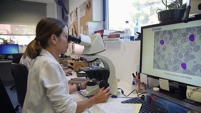 Percepción sobre los tumores hematológicos en España