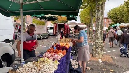Fronton Côté Saveurs