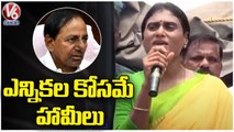 YS Sharmila Slams CM KCR _ Praja prasthanam Yatra _ Nagar Kurnool _ V6 News