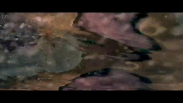 BTS RM new Song | Balming Tiger 섹시느낌 SEXY NUKIM feat RM of BTS Official MV