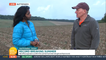 Potato farmer warns crops haven't grown as expected following heatwaves and droughts
