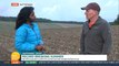 Potato farmer warns crops haven't grown as expected following heatwaves and droughts