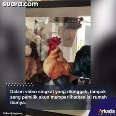 Wanita Pusing Lihat Isi Rumah Ibunya, Tulisan-tulisan yang Jadi Pajangan Disorot