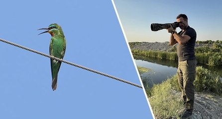 Nadir görülen yeşil arı kuşlarının Ağrı Dağı eteklerini nasıl kullandığı araştırılıyor