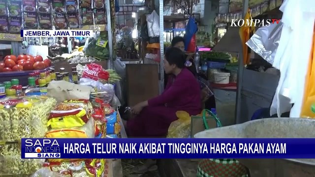 Pantauan Harga Telur dan Terigu di Sejumlah Wilayah, Pembuat Kue Akui Keuntungan Menipis!