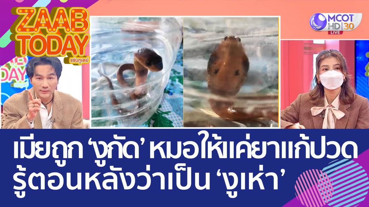 อุทาหรณ์! เมียถูก 'งูกัด' หมอให้ยาแก้ปวดแล้วกลั...