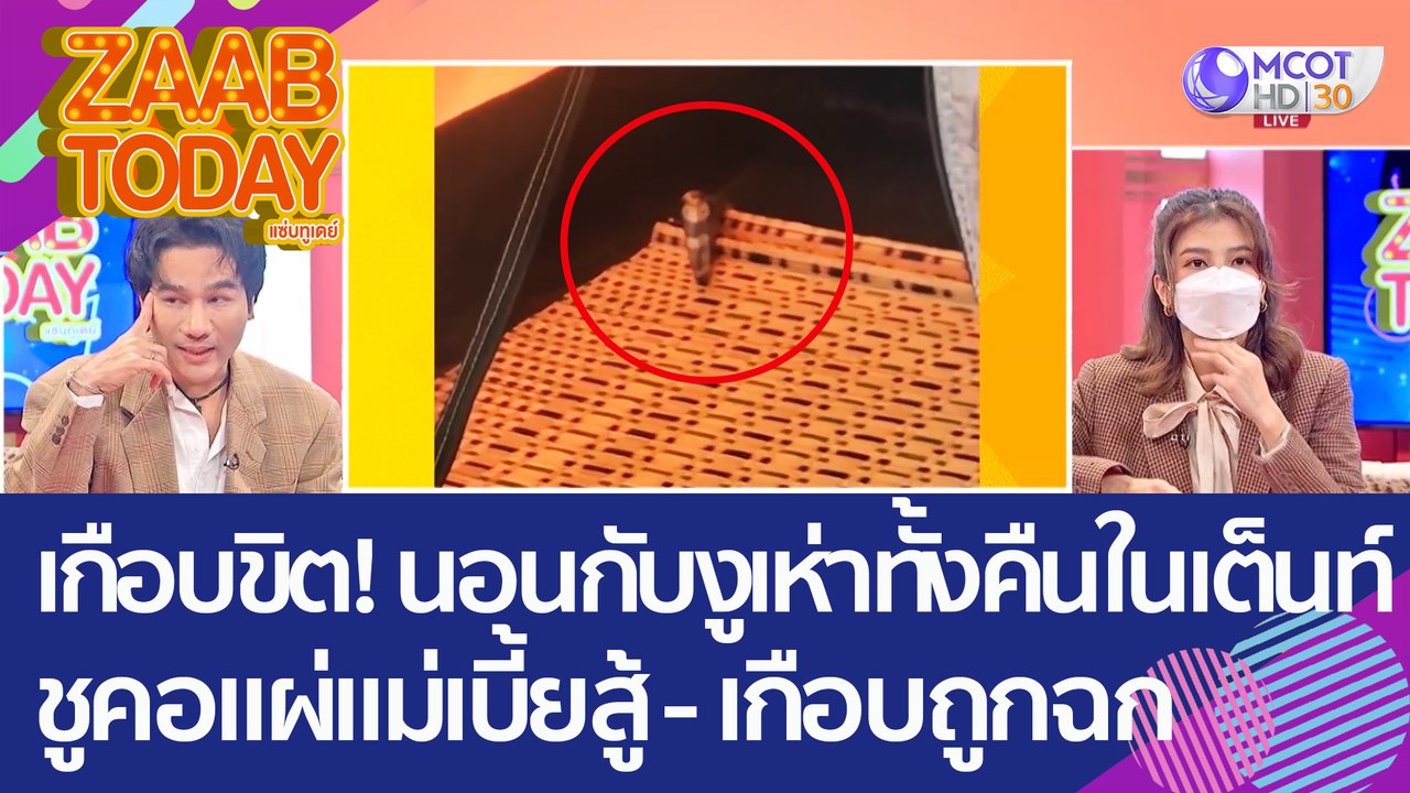 เกือบขิต! นอนกับ 'งูเห่า' ทั้งคืนในเต็นท์ ชูคอแผ่แม่เบี้ยสู้ - เกือบถูกฉก (1 ก.ย. 65) แซ่บทูเดย์