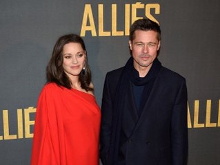 Marion Cotillard : après les accusations de tromperie, Brad Pitt lui adresse un joli clin d'oeil
