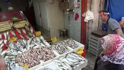 Sezonun ilk balıkları tezgahlarda