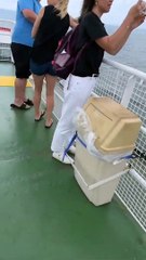 Le ferry prend feu - Buzz Buddy