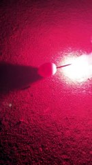 Sparkler brûle à travers l'œuf cru - Buzz Buddy