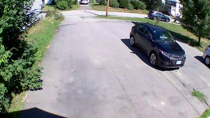 Le conducteur de DoorDash recule dans le poteau - Buzz Buddy