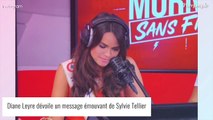 Sylvie Tellier en larmes : un message privé dévoilé en direct après son départ du comité Miss France