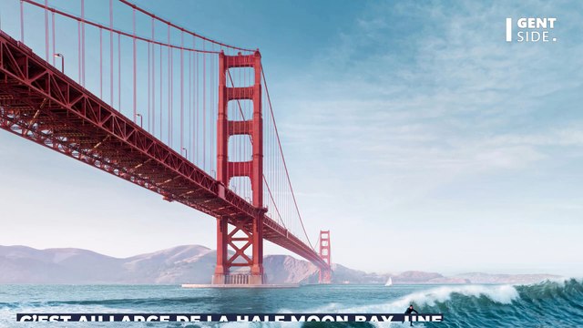 Le cadavre gonflé d’une baleine s’échoue sur une plage et attire les passants (VIDÉO)