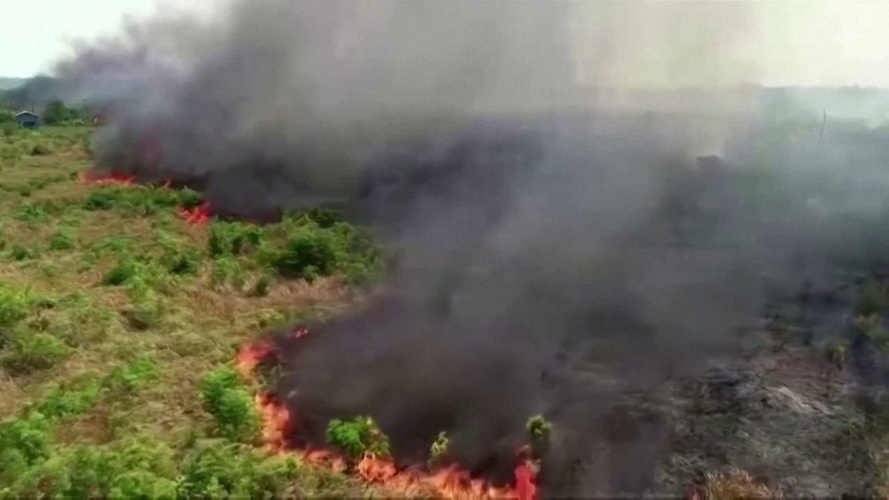 La forêt amazonienne subit ses pires incendies en août depuis 2010