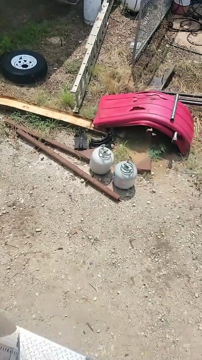 Sauver grignote le chat qui est tombé dans la remorque du camion - Buzz Buddy