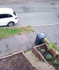 Le chat n'est pas le meilleur chasseur - Buzz Buddy