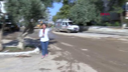 Son dakika haberi | ZEYTİN AĞACI 5 KİŞİLİK AİLEYİ SEL SULARINA KAPILMAKTAN KURTARDI