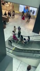 Les grands-parents tirent la plante du pot dans le centre commercial - Buzz Buddy