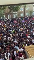 Emballé comme des sardines au carnaval de Notting Hill - Buzz Buddy