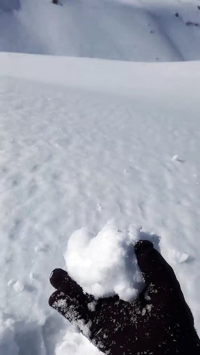 La neige collante aide les boules de neige à pousser - Buzz Buddy