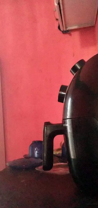 Le chat de papa a appris à ouvrir la friteuse en plein air - Buzz Buddy