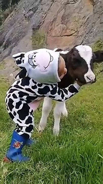 Petite fille chante pour bébé veau - Buzz Buddy