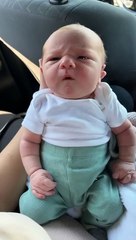 Le nouveau-né a des éternuements - Buzz Buddy