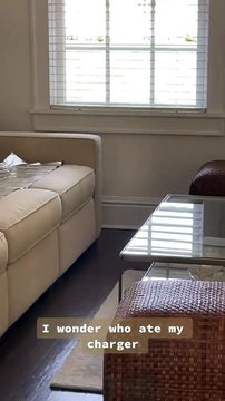 Ce chien est-il coupable d'avoir mangé le chargeur - Buzz Buddy