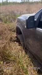 Snake se coince dans un pneu de camion boueux - Buzz Buddy