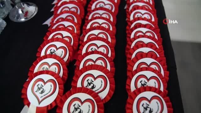 Balıkesir yerel haberleri | Balıkesir Büyükşehir 'Mutlu Patiler' projesini hayata geçiriyor