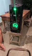 Chien se couvre les oreilles pendant le karaoké - Buzz Buddy