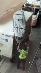 Les employés de l'aéroport manipulent grossièrement l'équipement d'un athlète professionnel - Buzz Buddy