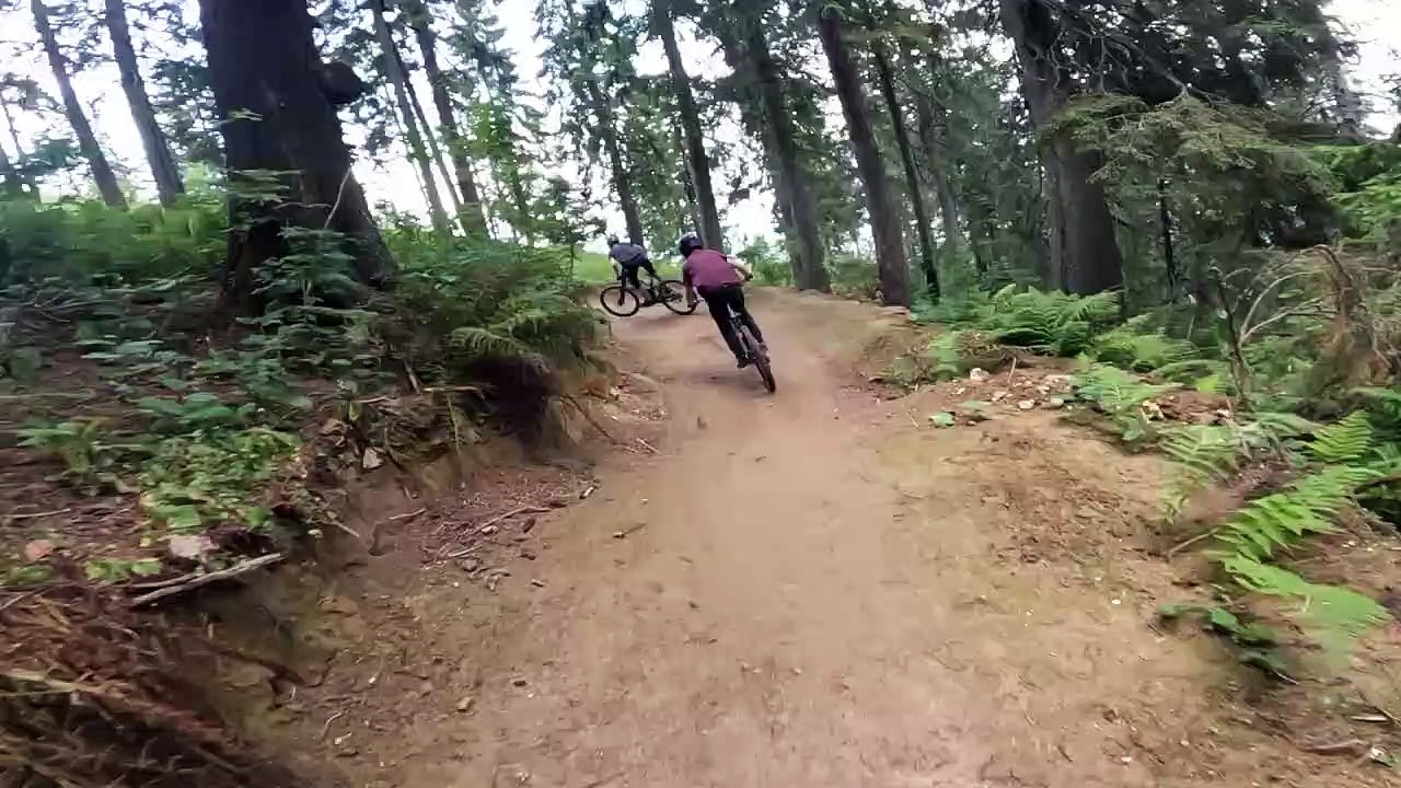Crash du groupe Mounter Biker - Buzz Buddy