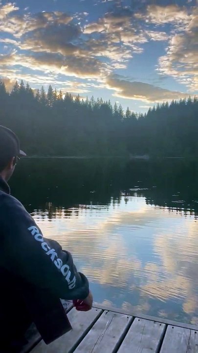 Bugs Ripple Water aux notes de guitare jouées - Buzz Buddy