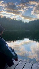 Bugs Ripple Water aux notes de guitare jouées - Buzz Buddy