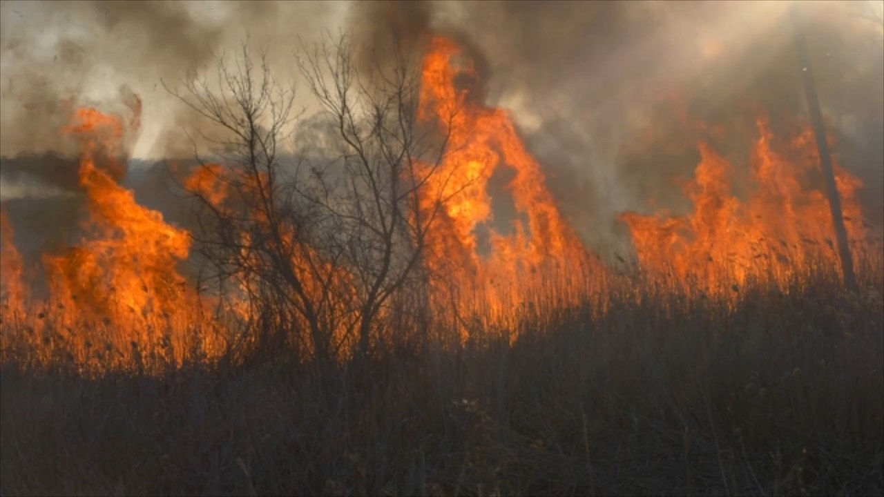 Amazonasgebiet: Schwerste Waldbrände seit fünf Jahren!