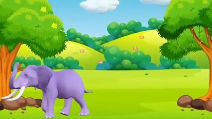 Haathi raja poem || haathi raja kaha chale rhythm