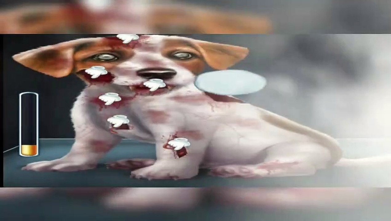 ASMR | Transforming A Ghost Dog Into A Lovable One | ASMR Makeover