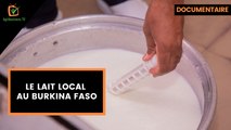 Burkina Faso : Le lait local au Burkina Faso