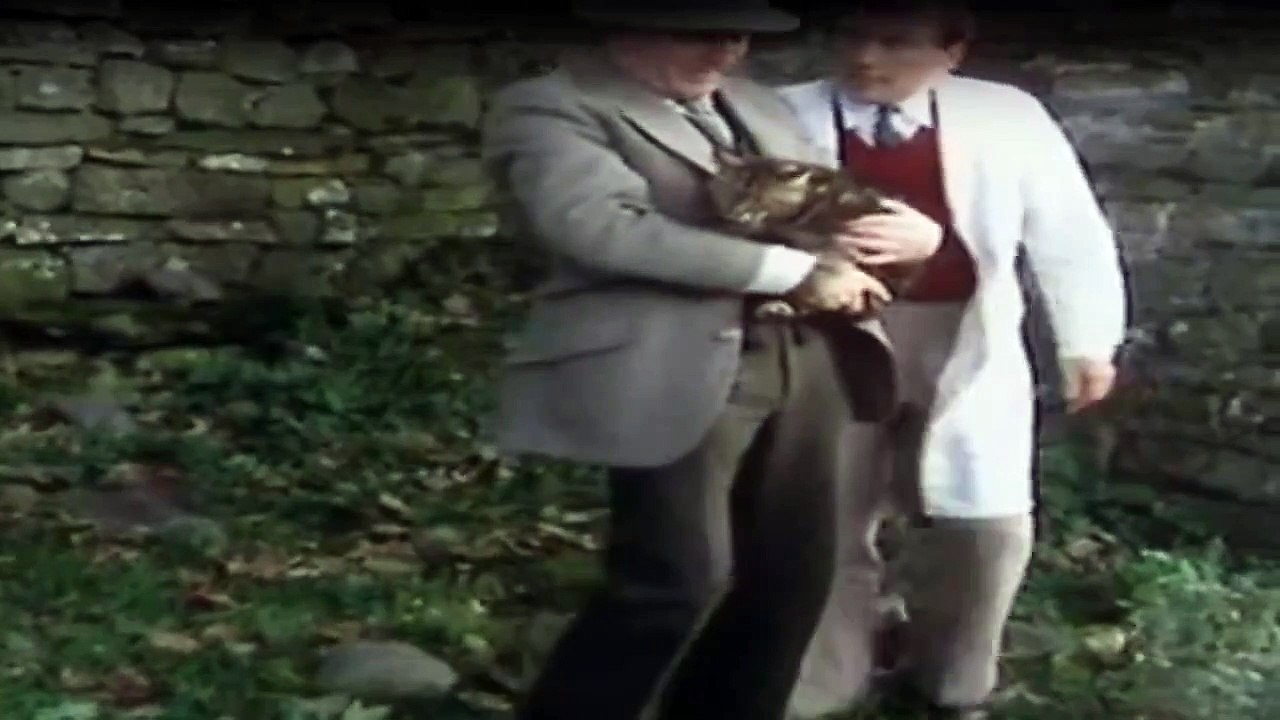 Der Doktor Und Das Liebe Vieh Staffel 3 Folge 9 HD Deutsch