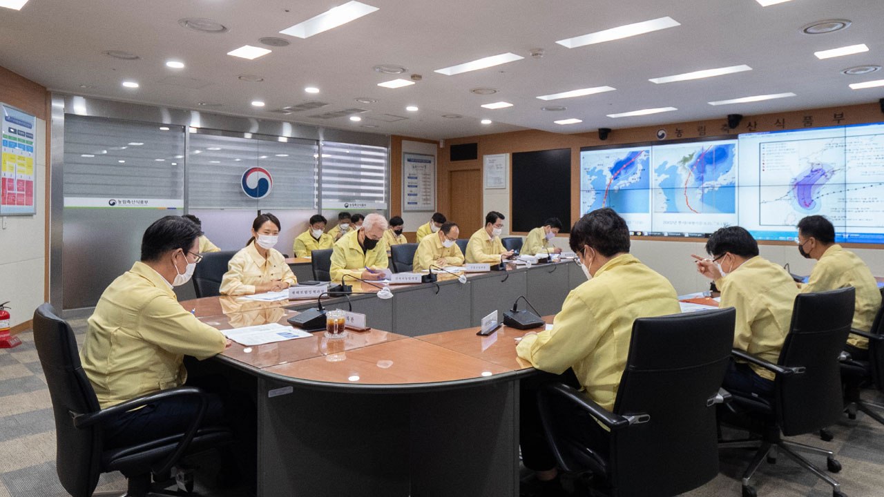 농식품부, 11호 태풍 '힌남노' 대응 긴급 점검 / YTN