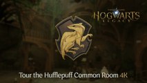 Hogwarts Legacy - Tour por la saga común de Hufflepuff