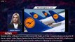 Lufthansa cancels up to 800 flights TOMORROW due to pilots' strike: German airline blames 'ext - 1br